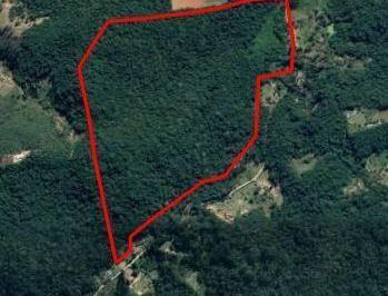 Terreno · 370000m² · Área em Quatinga, Mogi das Cruzes/SP de 0m² à venda por R$ 1.780.000,00