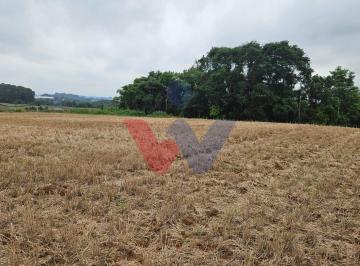 Terreno · 67700m² · Terreno em Guajuvira, Araucaria/PR de 67700m² à venda por R$ 2.100.000,00