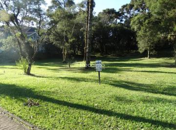 Terreno · 740m² · Terreno em Centro, Canela/RS de 740m² à venda por R$ 2.000.000,00