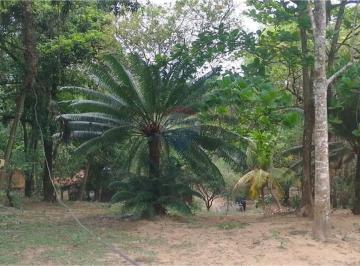 Rural · 11305m² · 3 Quartos · 500 Vagas · Imoveis - no Campo Grande