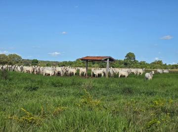 Rural · 1119m² · 3 Quartos · FAZENDA DE DUPLA APTIDÃO À VENDA – 1.119 ALQUEIRES EM NOVO MUNDO-GO