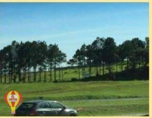 5dd0987439d6a4abf55f3f1ba581dfd88be6e9b2 · ÁREA para locação Rodovia Castelo Branco km 90,5