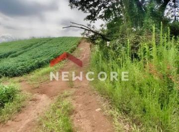 Rural · 328000m² · 1 Quarto · Sítio em  Estrada Mun - Barreiro - Campo Magro - Barreiro  - Campo Magro/PR