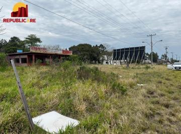 Oportunidade única de investimento! Terreno com 10.000 m² (1 hectare) à venda em · 🏡 Terreno de 1 Hectare à Venda em Osório – Estrada do Mar de frente, RS com laud
