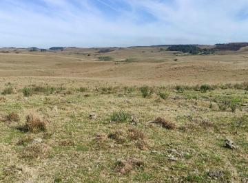 Rural · 55ha · Ótimo campo de 55 há, muito próximo da Rota do Sol!!