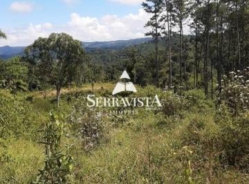 24282488_4.jpg · Área para reflorestamento com 57,4 hectares