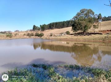 Foto 01 · Sítio 25 Alqueires, 5 Alqueires com Eucalipto, Bom de Água, Lago, Terra Vermelha, Casa pra Caseiro