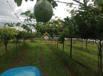 Foto 01 · Sitio, Abaitinga, São Miguel Arcanjo, SP