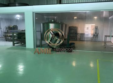 Foto 10 · Sítio Industrial à Venda em Lorena-SP: 19,7 hectares para Fábrica de Azeite, Sucos e Ervas - Visite 