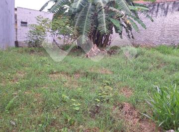 Foto 01 · Terreno plano na Vila Nova Aparecida
