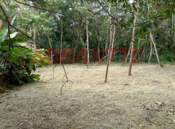 d532d3d26275e267be9e8db6d85e9384.jpg · Casa terrea de 80m² com 2 quartos