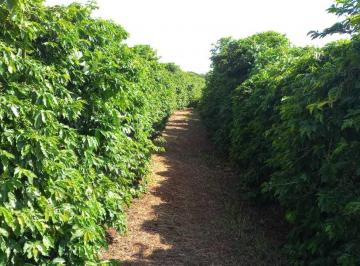 8c2365d01c8dbb31119a65c371708b2b.jpeg · Fazenda / Sítios / Chácaras com 3 quartos à venda em Campanha, no bairro Zona Rural