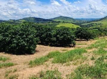 0d1b68c003f950e1c6bdf34eae82cdd9.jpeg · Fazenda / Sítios / Chácaras à venda em Lavras, no bairro Área Rural De Lavras