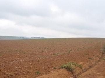 ih2p2_76602b07cc6cd25_o.jpg · Fazenda / Sítios / Chácaras à venda em Ipuiúna, no bairro Zona Rural