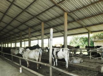 irmk18WV8y_3016284e228a1773_o.jpg · Fazenda / Sítios / Chácaras com 3 quartos à venda em Juiz De Fora, no bairro Área Rural De Juiz De F