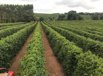 53642c3f5fdf0f047611bee3684ee698.jpeg · Fazenda / Sítios / Chácaras à venda em Bambuí, no bairro Zona Rural