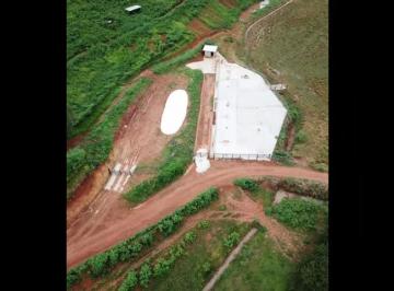 11549f478705013abe12353884ae02d2.png · Fazenda / Sítios / Chácaras com 4 quartos à venda em Palma, no bairro Zona Rural