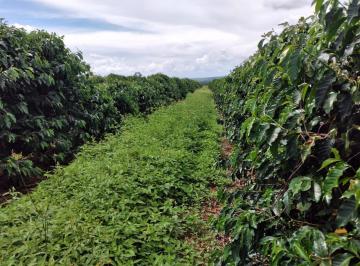 i6qU7_410649c7d69ac3c4_DAxY2FlZmM5YWVl_o.jpg · Fazenda / Sítios / Chácaras com 2 quartos à venda em Pimenta, no bairro Centro