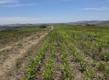 43014c78c2a7681c3f2cfb21d1b0c3c2.jpeg · Fazenda / Sítios / Chácaras à venda em Andrelândia, no bairro Zona Rural