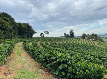 9771203229b8b68e600a52973e2d6bce.jpeg · Fazenda / Sítios / Chácaras à venda em Luminárias, no bairro Zona Rural