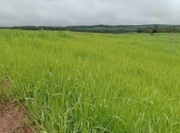 ae33f05b1cd20ddcb9988ff4214dfc39.jpeg · Fazenda / Sítios / Chácaras com 2 quartos à venda em Morada Nova De Minas, no bairro Zona Rural