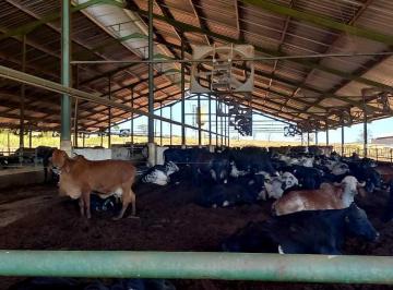 6f3cf6a9126f8fea6167b855947c8de6.jpg · Fazenda / Sítios / Chácaras à venda em Pompéu, no bairro Zona Rural