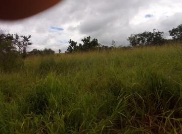 Rural , Fortuna de Minas · Fazenda