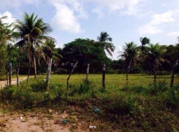 foto.jpg · Terreno a venda em São Gonçalo do Amarante
