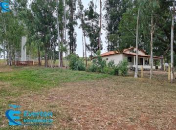 Foto 01 · Fazenda de 410 Alqueires em Caiapônia-GO: Oportunidade única de investimento em propriedade produtiv