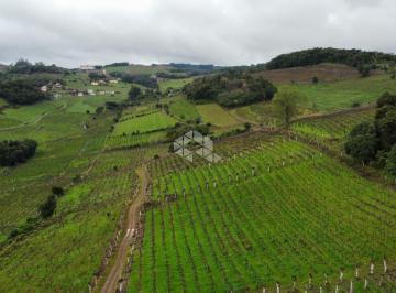 323207_i7e20gfe888K68639_323207644aaa1e92c78.jpg · Área de terra na linha Leopoldina Vale dos Vinhedos