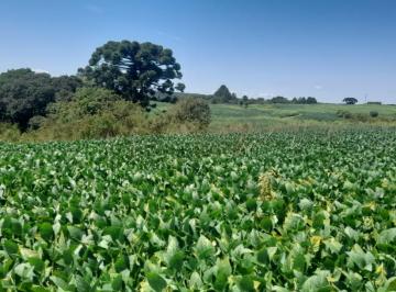 Terreno , Fazenda Rio Grande · ÁREA FAZENDA RIO GRANDE DE 38 ALQUERES COM 70% DE APROVEITAMENTO