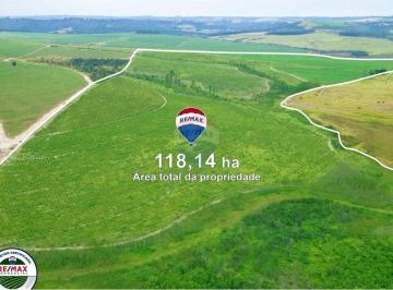Comercial · 118130m² · Fazenda Três Marias com 118 hectares