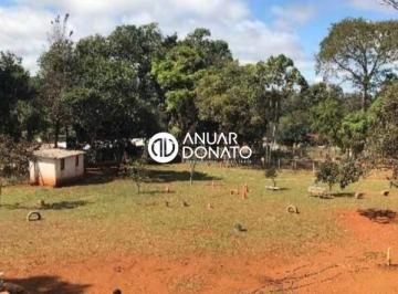 Anuar Donato Venda Sítio Lagoa do Miguelão · Lagoa do Miguelão - Fazendas / Sítios 6 quartos à venda na Anuar Donato