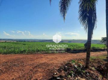 812ba3c79c3f859bbc6f13a0e779ea161a608c78 · Sítio à venda, 242000 m² por R$ 8.250.000,00 - São Domingos - Maringá/PR