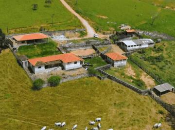 Rural · 3140000m² · 3 Quartos · EXCELENTE FAZENDA, COM 314 HA À VENDA - RESENDE COSTA MG