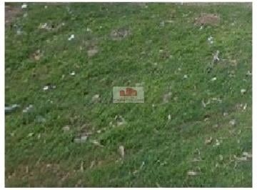 03a57083b01bcd30750d317a69b06213.jpg · Terreno urbano, com 8261m2 (pode fazer 41 lotes, no bairro sangrador, próximo da BR-226