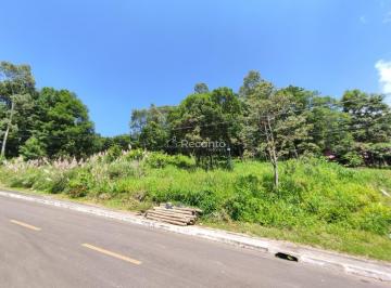 Terreno · 1430m² · Terreno em Várzea Grande, Gramado/RS de 1430m² à venda por R$ 640.000,00