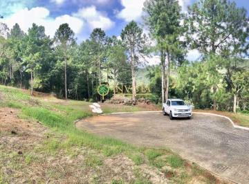 Terreno · 454m² · Terreno em Ratones, Florianópolis/SC de 0m² à venda por R$ 600.000,00
