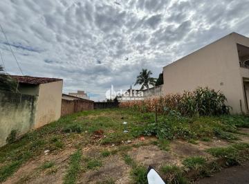 Terreno · 360m² · Terreno disponível para Venda no bairro Santa Monica em Uberlândia-MG