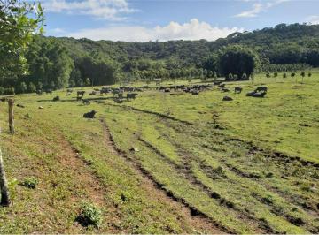 Rural · 2750000m² · CC 55 601251112-1637