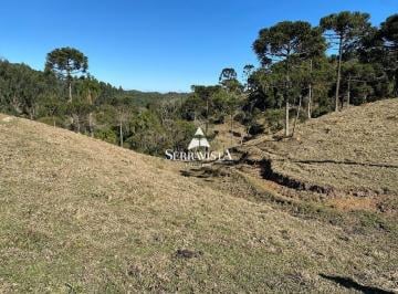 24596301_4.jpg · Área em local alto com araucárias - 83.519 m2