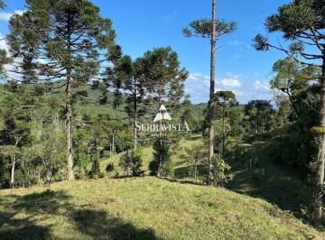 24323143_4.jpg · Área em local alto com araucárias - 83.519 m2