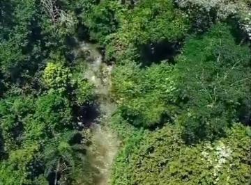 Rural de 4 quartos, Santo Antônio do Descoberto · Chácara 08 Alqueires - Rica em Água