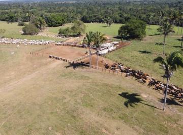 Rural , São Félix do Araguaia · FAZENDA EM SÃO FÉLIX DO ARAGUAIA, MATO GROSSO - 2.815 HECTARES, PLANA, DUPLA APTIDÃO, MUITA ÁGUA