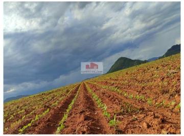 20d3b4d86c75b28c4a57cafb744a2092.jpg · Fazenda na região de Almas - TO, com 3020 hectares, com 1000 hectares plantando soja