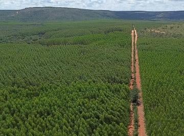 Rural · 2012ha · 1 Quarto · FAZENDA DE 2012 hectares em Lassance-MG, com 1000 hectares de eucalipto plantado