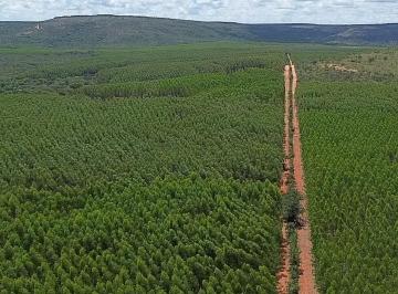 Rural · 2012ha · 1 Quarto · FAZENDA DE 2012 hectares em Lassance-MG, com 1000 hectares de eucalipto plantado