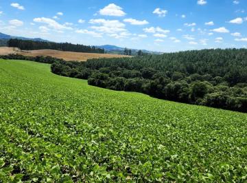 Rural de 1 quarto, Prudentópolis · Área Prudentópolis