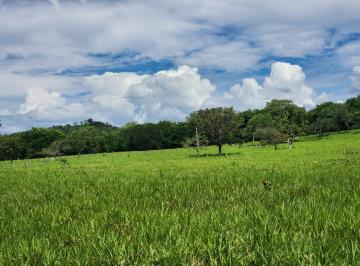 Rural de 3 quartos, Brazlandia · Chácara Brazlândia, 26 hectares, escriturada, beira da BR, aceita permuta
