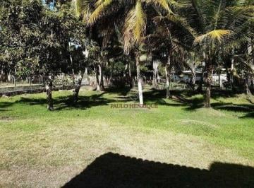 7b96152a117a1c2a61b9ca0fb9caa35ff8bee72b · Ótimo Sítio na Massagueira - 10.000m²